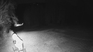 Skiareál Karolinka - Prostřední část sjezdovky a snowpark - 13.12.2025 v 03:50 Skiareál Karolinka - Prostřední část sjezdovky a snowpark - 13.12.2025 v 03:50