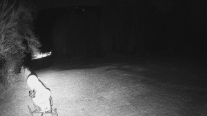 Skiareál Karolinka - Prostřední část sjezdovky a snowpark - 13.12.2025 v 04:50 Skiareál Karolinka - Prostřední část sjezdovky a snowpark - 13.12.2025 v 04:50