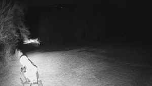 Skiareál Karolinka - Prostřední část sjezdovky a snowpark - 13.12.2025 v 05:02 Skiareál Karolinka - Prostřední část sjezdovky a snowpark - 13.12.2025 v 05:02