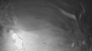 Skiareál Karolinka - Prostřední část sjezdovky a snowpark - 13.12.2025 v 17:50 Skiareál Karolinka - Prostřední část sjezdovky a snowpark - 13.12.2025 v 17:50