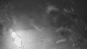 Skiareál Karolinka - Prostřední část sjezdovky a snowpark - 13.12.2025 v 18:15 Skiareál Karolinka - Prostřední část sjezdovky a snowpark - 13.12.2025 v 18:15