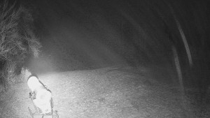 Skiareál Karolinka - Prostřední část sjezdovky a snowpark - 13.12.2025 v 18:32 Skiareál Karolinka - Prostřední část sjezdovky a snowpark - 13.12.2025 v 18:32