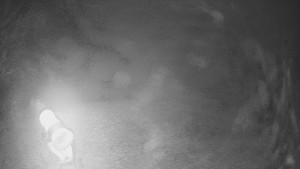 Skiareál Karolinka - Prostřední část sjezdovky a snowpark - 13.12.2025 v 19:05 Skiareál Karolinka - Prostřední část sjezdovky a snowpark - 13.12.2025 v 19:05