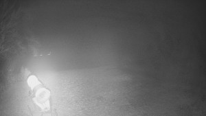 Skiareál Karolinka - Prostřední část sjezdovky a snowpark - 13.12.2025 v 20:05 Skiareál Karolinka - Prostřední část sjezdovky a snowpark - 13.12.2025 v 20:05