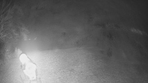 Skiareál Karolinka - Prostřední část sjezdovky a snowpark - 13.12.2025 v 20:20 Skiareál Karolinka - Prostřední část sjezdovky a snowpark - 13.12.2025 v 20:20