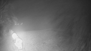 Skiareál Karolinka - Prostřední část sjezdovky a snowpark - 13.12.2025 v 20:32 Skiareál Karolinka - Prostřední část sjezdovky a snowpark - 13.12.2025 v 20:32