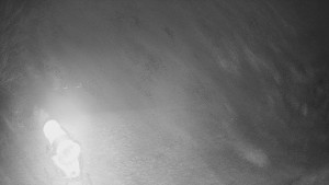 Skiareál Karolinka - Prostřední část sjezdovky a snowpark - 13.12.2025 v 21:20 Skiareál Karolinka - Prostřední část sjezdovky a snowpark - 13.12.2025 v 21:20