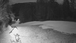 Prostřední část sjezdovky a snowpark