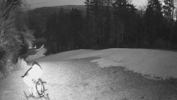 Prostřední část sjezdovky a snowpark