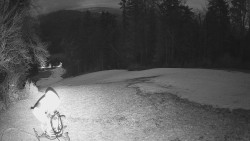 Prostřední část sjezdovky a snowpark