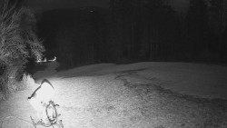 Prostřední část sjezdovky a snowpark