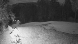 Prostřední část sjezdovky a snowpark