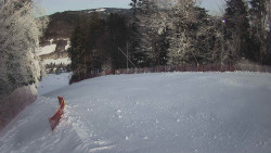 Prostřední část sjezdovky a snowpark