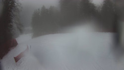 Prostřední část sjezdovky a snowpark