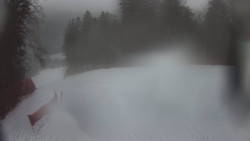 Prostřední část sjezdovky a snowpark