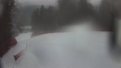 Prostřední část sjezdovky a snowpark