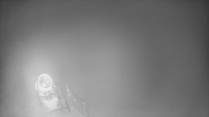 Skiareál Karolinka - Prostřední část sjezdovky a snowpark - 11.2.2026 v 20:02 Skiareál Karolinka - Prostřední část sjezdovky a snowpark - 11.2.2026 v 20:02