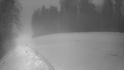 Prostřední část sjezdovky a snowpark