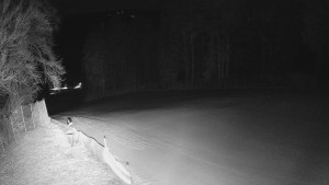 Skiareál Karolinka - Prostřední část sjezdovky a snowpark - 12.3.2026 v 03:15 Skiareál Karolinka - Prostřední část sjezdovky a snowpark - 12.3.2026 v 03:15