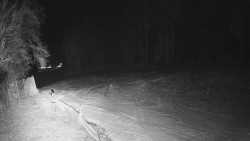 Prostřední část sjezdovky a snowpark