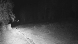 Prostřední část sjezdovky a snowpark