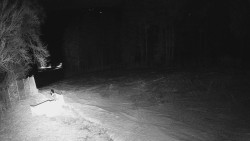 Prostřední část sjezdovky a snowpark