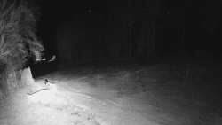 Prostřední část sjezdovky a snowpark