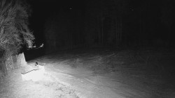 Prostřední část sjezdovky a snowpark