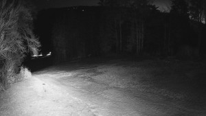 Skiareál Karolinka - Prostřední část sjezdovky a snowpark - 19.3.2026 v 04:40 Skiareál Karolinka - Prostřední část sjezdovky a snowpark - 19.3.2026 v 04:40