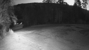 Skiareál Karolinka - Prostřední část sjezdovky a snowpark - 19.3.2026 v 05:02 Skiareál Karolinka - Prostřední část sjezdovky a snowpark - 19.3.2026 v 05:02