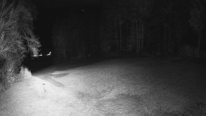 Skiareál Karolinka - Prostřední část sjezdovky a snowpark - 25.3.2026 v 02:45 Skiareál Karolinka - Prostřední část sjezdovky a snowpark - 25.3.2026 v 02:45