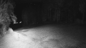 Skiareál Karolinka - Prostřední část sjezdovky a snowpark - 25.3.2026 v 03:15 Skiareál Karolinka - Prostřední část sjezdovky a snowpark - 25.3.2026 v 03:15