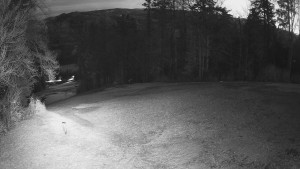 Skiareál Karolinka - Prostřední část sjezdovky a snowpark - 25.3.2026 v 04:50 Skiareál Karolinka - Prostřední část sjezdovky a snowpark - 25.3.2026 v 04:50