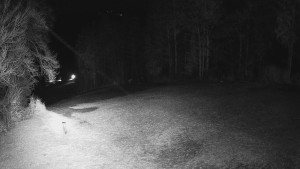 Skiareál Karolinka - Prostřední část sjezdovky a snowpark - 25.3.2026 v 22:40 Skiareál Karolinka - Prostřední část sjezdovky a snowpark - 25.3.2026 v 22:40