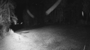 Skiareál Karolinka - Prostřední část sjezdovky a snowpark - 25.3.2026 v 22:55 Skiareál Karolinka - Prostřední část sjezdovky a snowpark - 25.3.2026 v 22:55