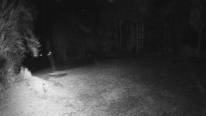 Skiareál Karolinka - Prostřední část sjezdovky a snowpark - 25.3.2026 v 23:45 Skiareál Karolinka - Prostřední část sjezdovky a snowpark - 25.3.2026 v 23:45