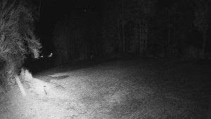 Skiareál Karolinka - Prostřední část sjezdovky a snowpark - 25.3.2026 v 23:50 Skiareál Karolinka - Prostřední část sjezdovky a snowpark - 25.3.2026 v 23:50