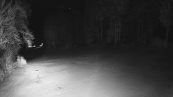 Prostřední část sjezdovky a snowpark