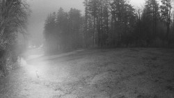 Prostřední část sjezdovky a snowpark