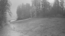 Prostřední část sjezdovky a snowpark