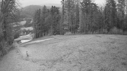 Prostřední část sjezdovky a snowpark