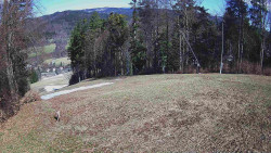 Prostřední část sjezdovky a snowpark