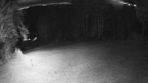 Skiareál Karolinka - Prostřední část sjezdovky a snowpark - 8.4.2026 v 05:20 Skiareál Karolinka - Prostřední část sjezdovky a snowpark - 8.4.2026 v 05:20