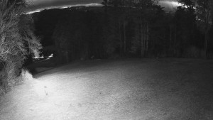 Skiareál Karolinka - Prostřední část sjezdovky a snowpark - 8.4.2026 v 05:25 Skiareál Karolinka - Prostřední část sjezdovky a snowpark - 8.4.2026 v 05:25