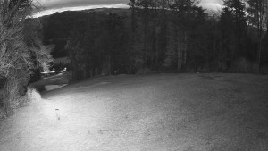 Skiareál Karolinka - Prostřední část sjezdovky a snowpark - 8.4.2026 v 05:32 Skiareál Karolinka - Prostřední část sjezdovky a snowpark - 8.4.2026 v 05:32