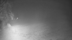 Prostřední část sjezdovky a snowpark