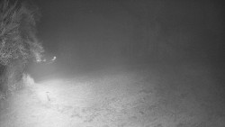 Prostřední část sjezdovky a snowpark