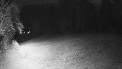 Prostřední část sjezdovky a snowpark