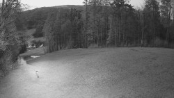 Prostřední část sjezdovky a snowpark