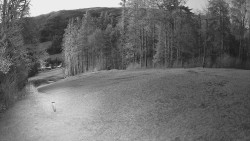 Prostřední část sjezdovky a snowpark